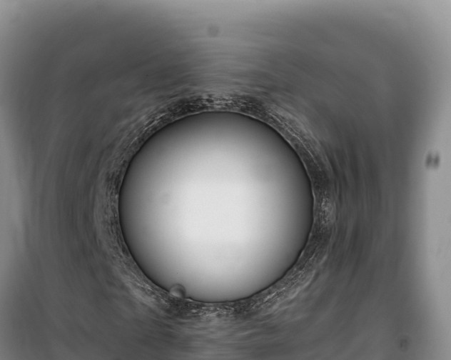 X0000100210865200806061344