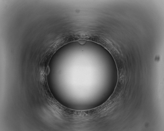 X0000100210866200806061344