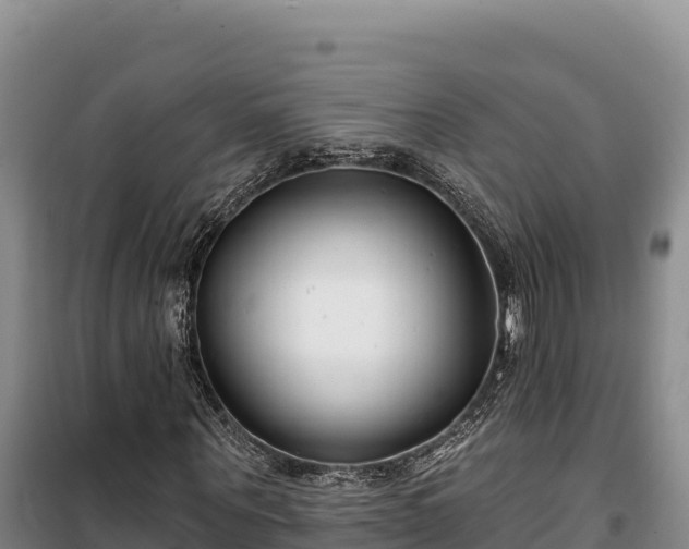 X0000100210867200806061344