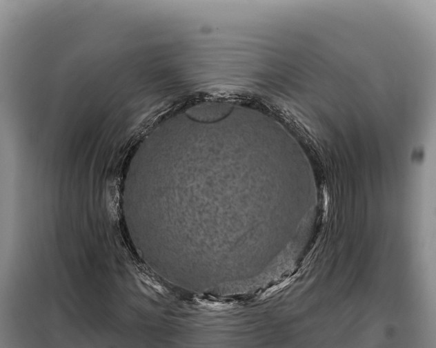 X0000100210868200806061344