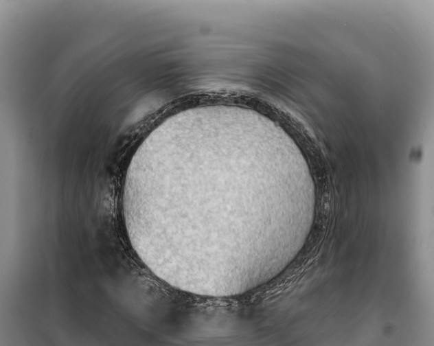 X0000100210869200806061343