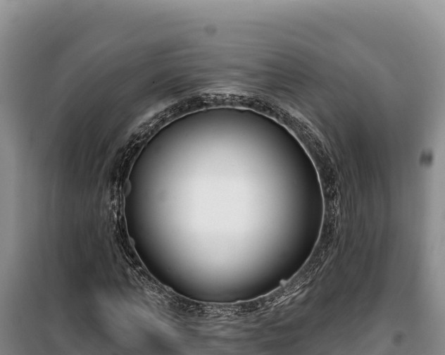 X0000100210870200806061343