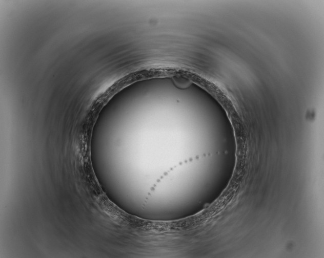 X0000100210871200806061343