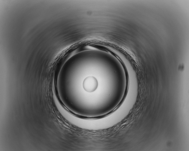 X0000100210872200806061343