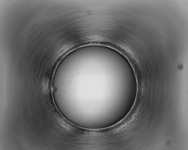 X0000100210873200806061343