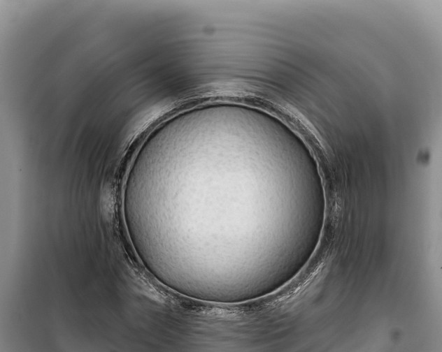 X0000100210874200806061343