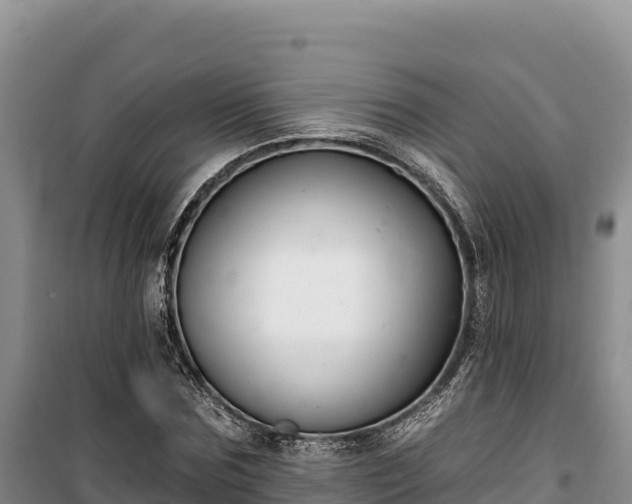 X0000100210875200806061343