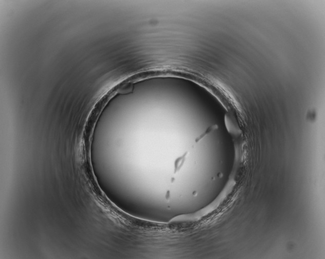 X0000100210876200806061343