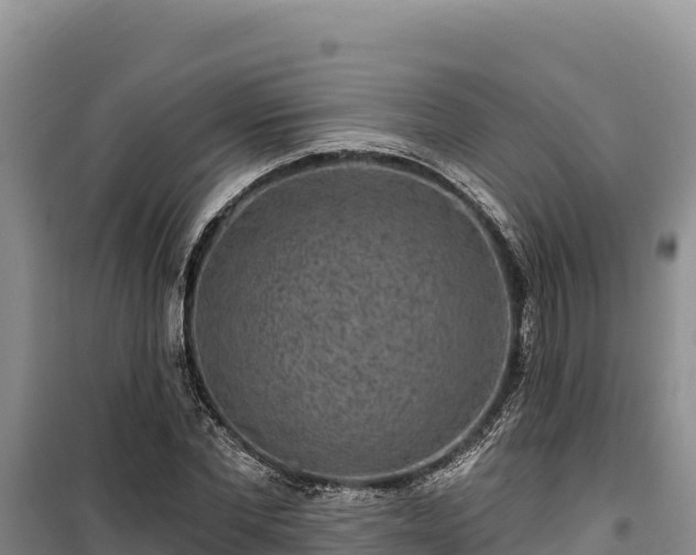 X0000100210877200806061343