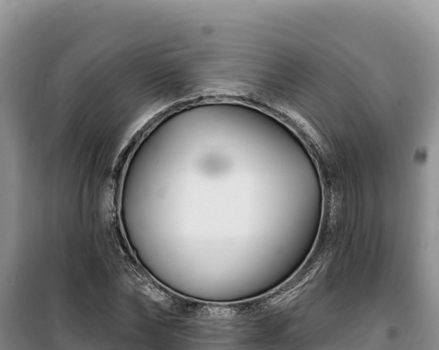 X0000100210878200806061343