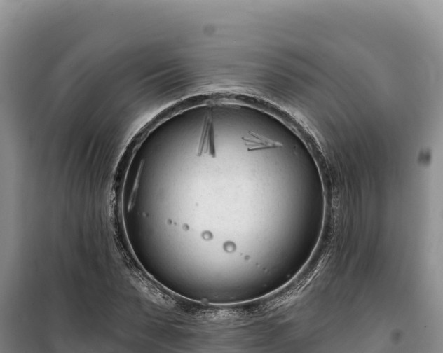 X0000100210879200806061343