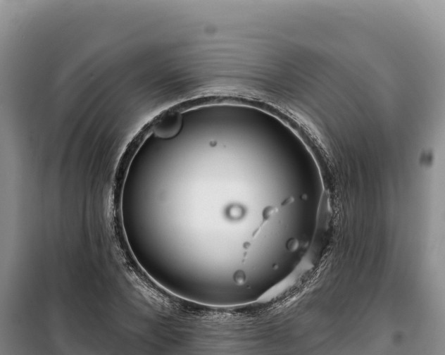 X0000100210880200806061343