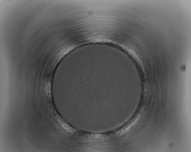 X0000100210881200806061343