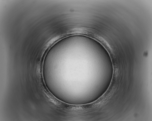 X0000100210882200806061343