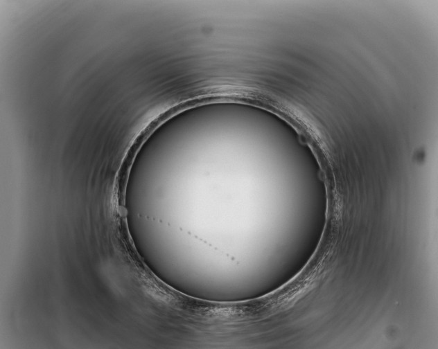 X0000100210883200806061343