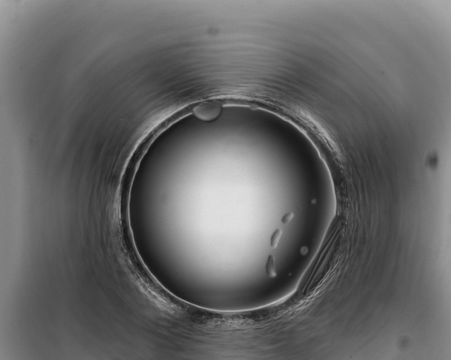 X0000100210884200806061343