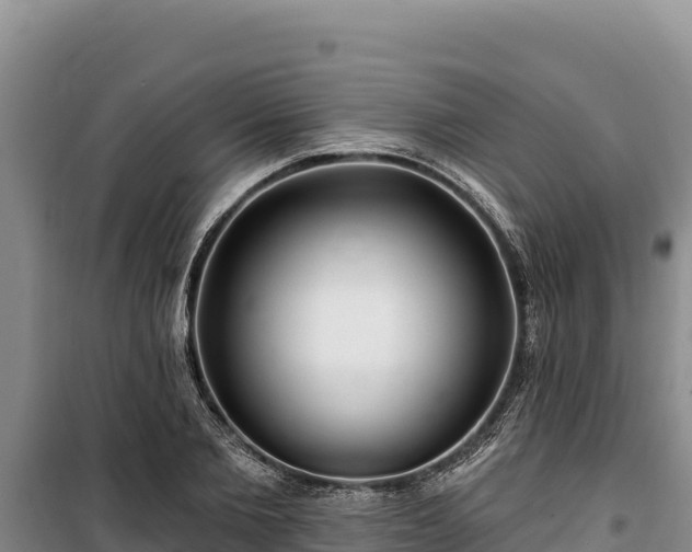 X0000100210885200806061343