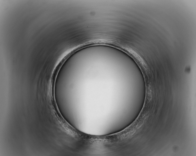 X0000100210886200806061343