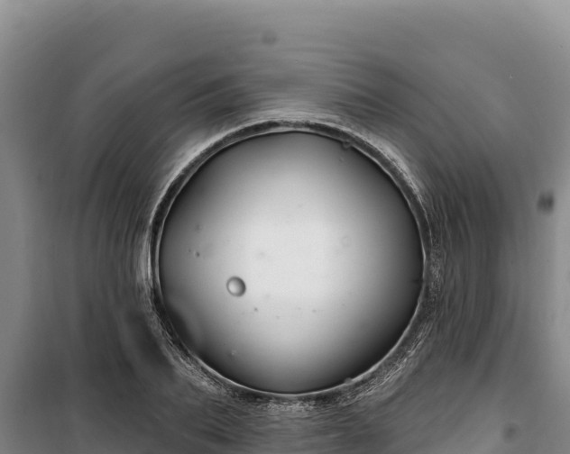 X0000100210887200806061343