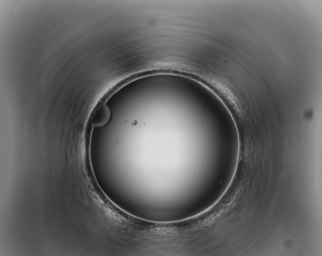 X0000100210888200806061343