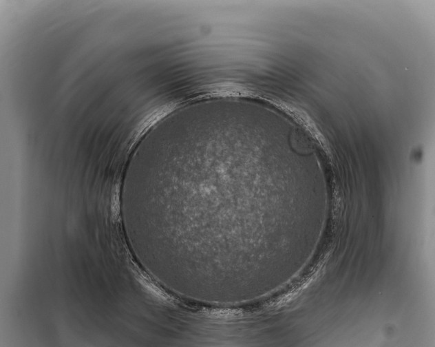 X0000100210889200806061343