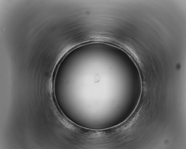 X0000100210891200806061343