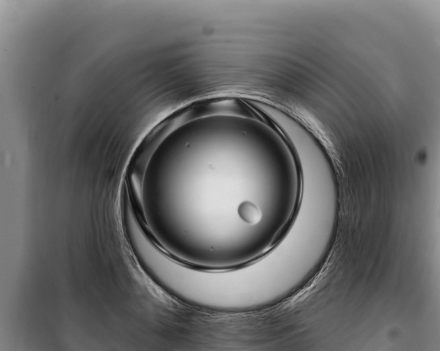 X0000100210892200806061343