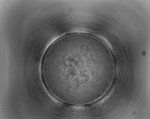 X0000100210893200806061343