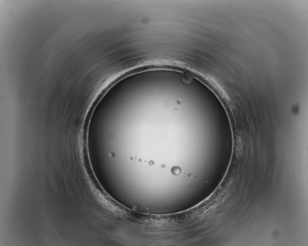 X0000100210895200806061343