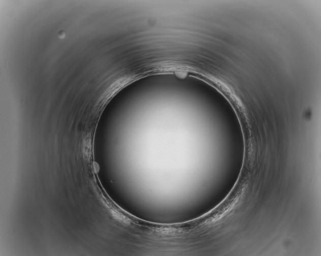 X0000100210897200806061343