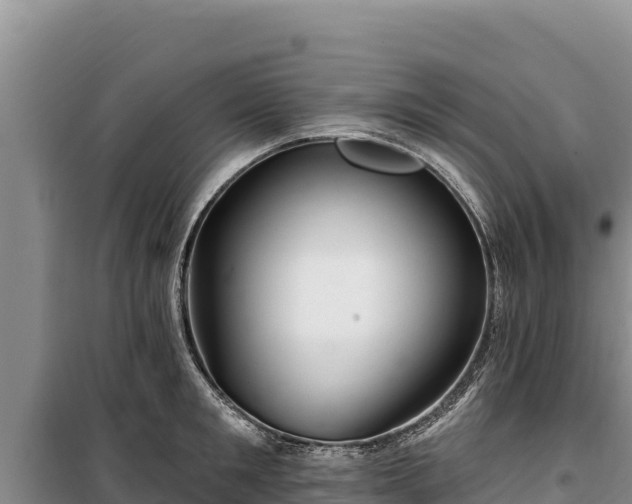 X0000100210901200806061343