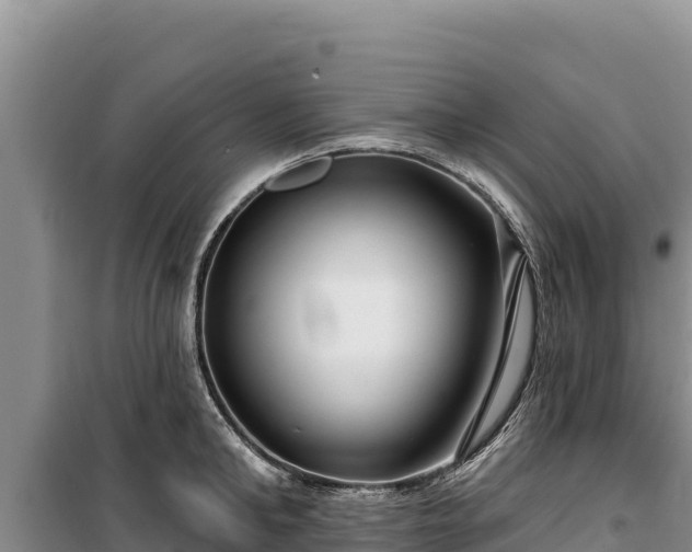 X0000100210902200806061343