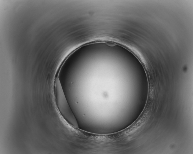 X0000100210903200806061343