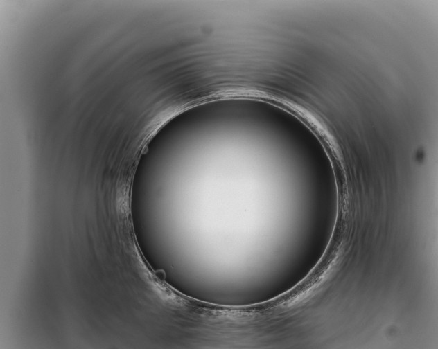 X0000100210905200806061343