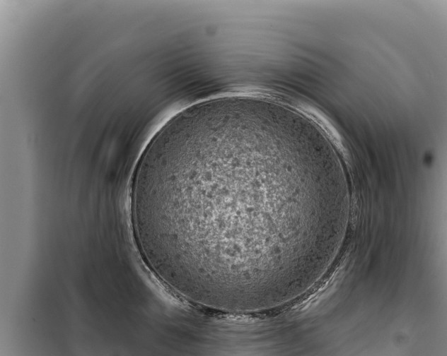 X0000100210907200806061343