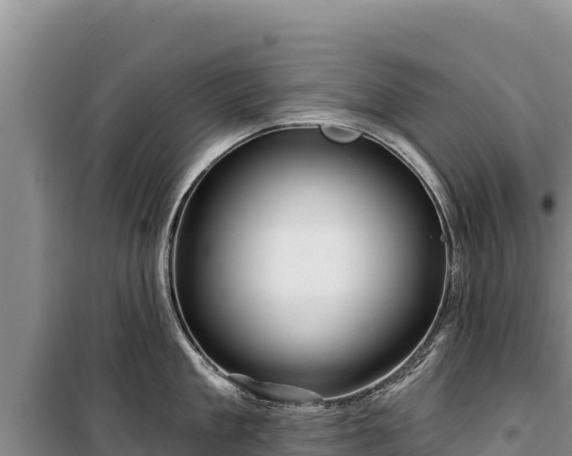 X0000100210909200806061343