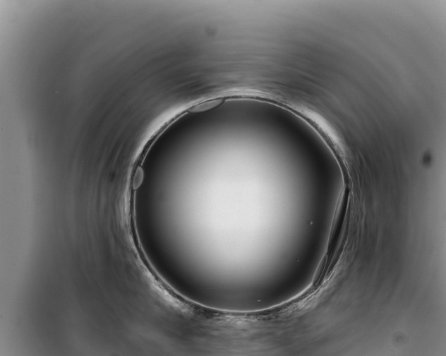 X0000100210910200806061343