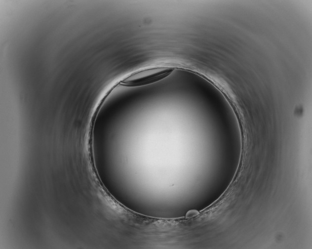 X0000100210912200806061343