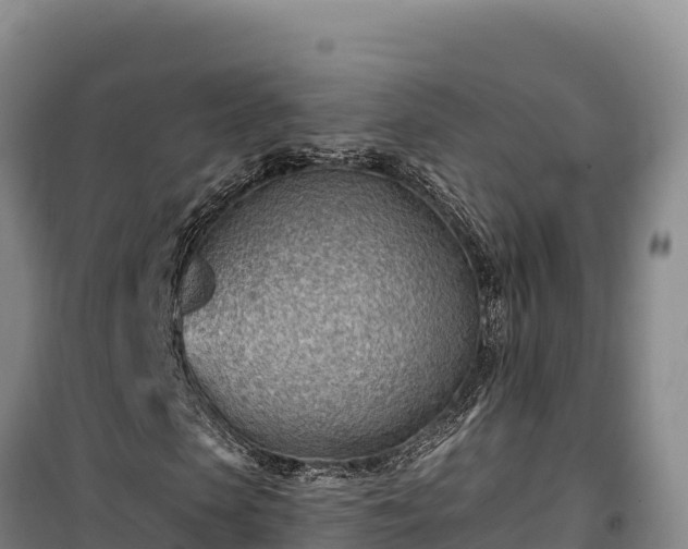 X0000100210913200806061342