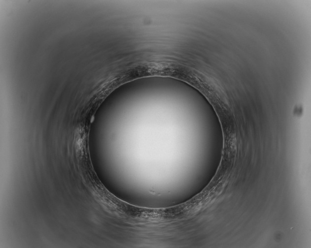 X0000100210914200806061342