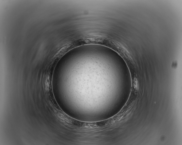 X0000100210915200806061342