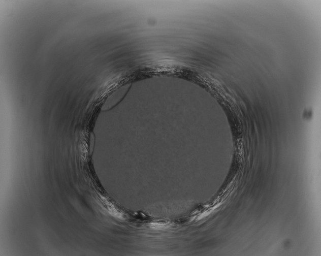 X0000100210916200806061342