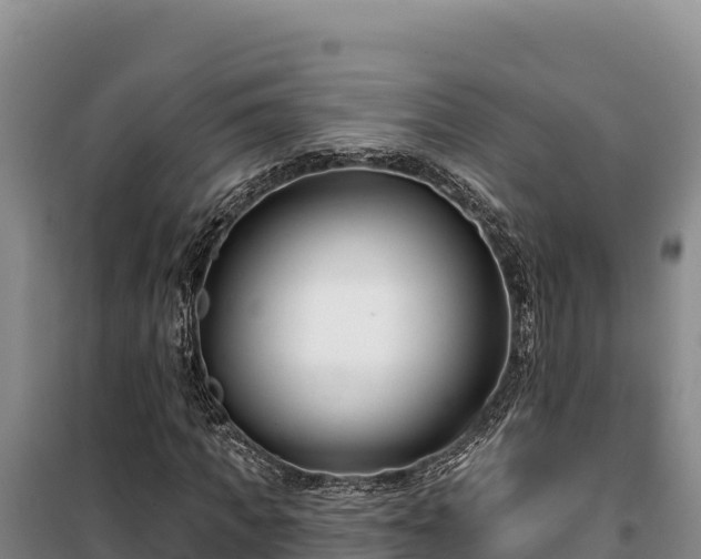 X0000100210917200806061342