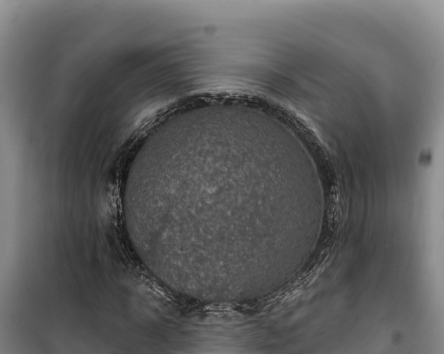 X0000100210918200806061342