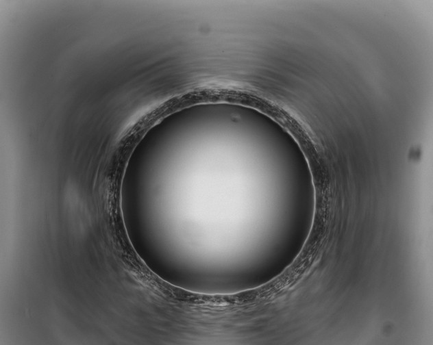 X0000100210919200806061342