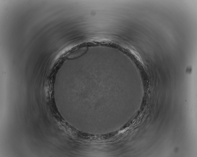 X0000100210920200806061342