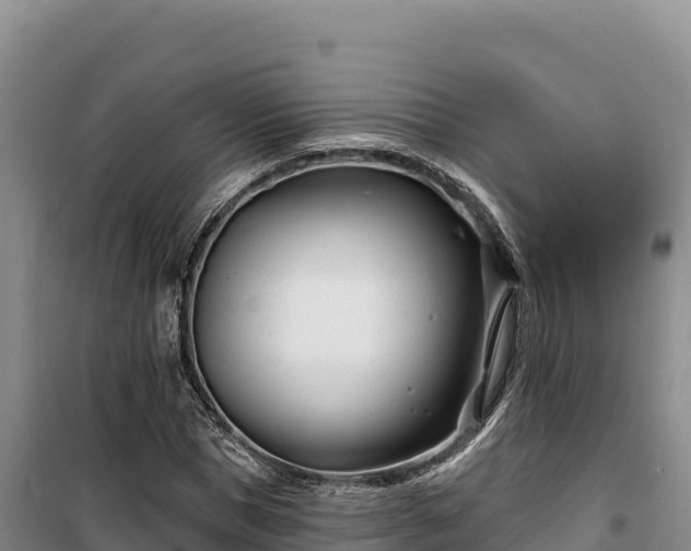 X0000100210921200806061342