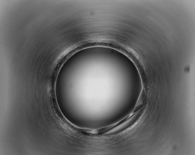 X0000100210922200806061342