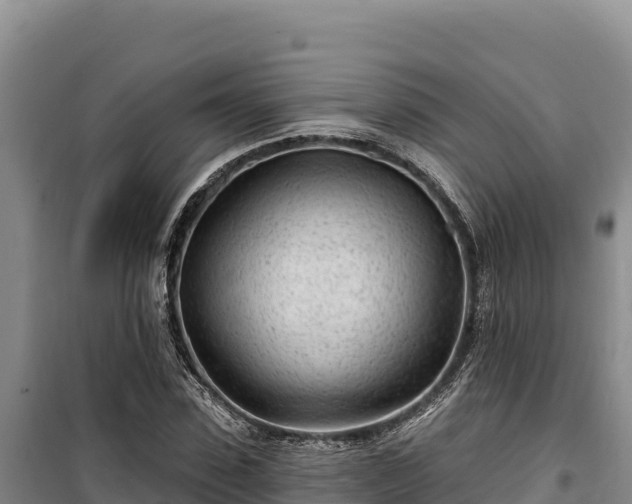 X0000100210923200806061342