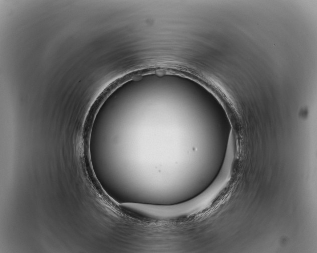 X0000100210924200806061342